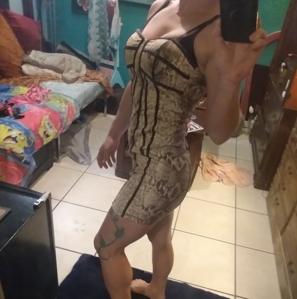 Pripe Snake Skin Bustier Bodycon Sexy Dress - Picture 4 of 12